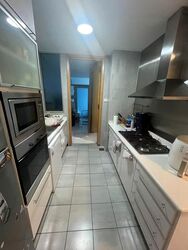 Cairnhill Crest (D9), Condominium #597607361